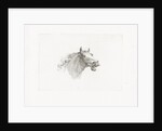 Horse head with open mouth, right by Gerrit Malleyn