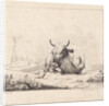 Lying cow by Diederik Jan Singendonck