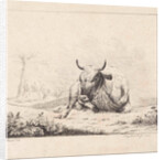 Lying cow by Diederik Jan Singendonck