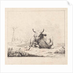 Lying cow by Diederik Jan Singendonck
