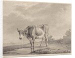 Drinking cow at the water by Diederik Jan Singendonck