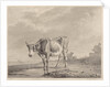 Drinking cow at the water by Diederik Jan Singendonck