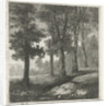 View of a forest by Hermanus Jan Hendrik van Rijkelijkhuysen