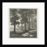 View of a forest by Hermanus Jan Hendrik van Rijkelijkhuysen