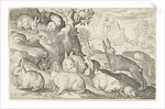 rabbits, squirrel, guinea pig and mouse by Nicolaes de Bruyn