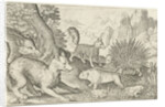 Wild boar, fox, beaver, porcupine and frogs by Nicolaes de Bruyn