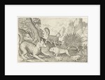 Wild boar, fox, beaver, porcupine and frogs by Nicolaes de Bruyn