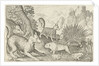 Wild boar, fox, beaver, porcupine and frogs by Nicolaes de Bruyn