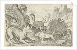Wild boar, fox, beaver, porcupine and frogs by Nicolaes de Bruyn