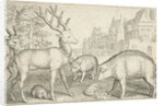 Hart, hedgehog, sheep, pig and frog by Nicolaes de Bruyn