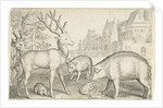 Hart, hedgehog, sheep, pig and frog by Nicolaes de Bruyn
