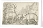 Hart, hedgehog, sheep, pig and frog by Nicolaes de Bruyn