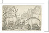 Hart, hedgehog, sheep, pig and frog by Nicolaes de Bruyn