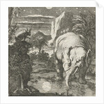 Hare and elephant with a full moon near a spring by Aart Wolsgrein