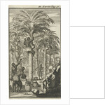 Obtaining palm wine in India by Charles Angot