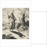 Female beholds her own shadow by Pieter Arentsz II