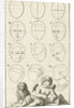 Twelve heads in different positions, labeled 1-12 by Willem Goeree