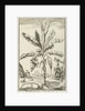 Tree with mandrakes by Willem Goeree