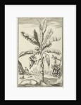 Tree with mandrakes by Willem Goeree