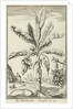 Tree with mandrakes by Willem Goeree