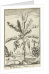 Tree with mandrakes by Willem Goeree