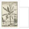 Tree with mandrakes by Willem Goeree