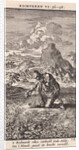 Gideon and the wet sheepskin by Pieter Arentsz & Cornelis van der Sys II