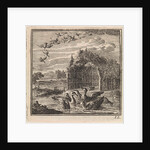 Wild and domestic ducks by Pieter Arentsz & Cornelis van der Sys II