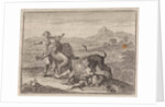 Two Abyssinian nobles being devoured by lions on the field that they ruined during their hunting by Frantz Martin Hertzen