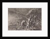Plague of locusts by Pieter Mortier