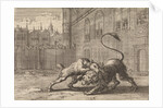Battle in London between a dog and a lion by Pieter van der Aa I