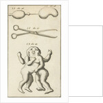 Anatomical image XV by Jan Claesz ten Hoorn