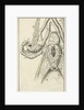 Anatomical image X by Jan Claesz ten Hoorn