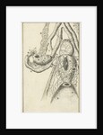 Anatomical image X by Jan Claesz ten Hoorn
