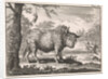 Bison, opposum and a pelican in an exotic landscape by Willem Broedelet