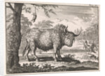 Bison, opposum and a pelican in an exotic landscape by Willem Broedelet
