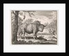 Bison, opposum and a pelican in an exotic landscape by Willem Broedelet