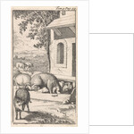 Sancho sleeping in a pig trough before a farm by Pieter Mortier