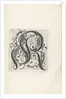 Letter R by Anonymous