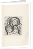 Letter R by Anonymous