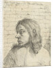 Bust of a young man, left by Nicolaes van Haeften