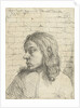 Bust of a young man, left by Nicolaes van Haeften