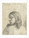 Bust of a young man, left by Nicolaes van Haeften