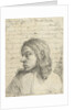 Bust of a young man, left by Nicolaes van Haeften