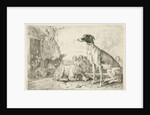 Dog kennel by Jan van den Hecke I