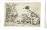 Dog kennel by Jan van den Hecke I