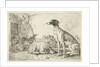 Dog kennel by Jan van den Hecke I