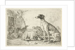Dog kennel by Jan van den Hecke I
