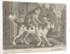 Monkey on the back of a dog by Edward Cooper