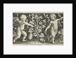 Two angels on either side of squash, pumpkin, or gourd by Nicolaes de Bruyn